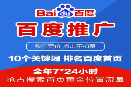 网络推广秘籍：竞价排名成功案例集锦